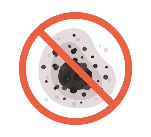 Mold Odor Removal Services in Ocala, FL